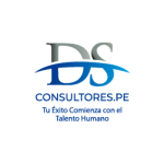 DSCONSULTORES.PE